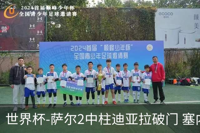 世界杯-萨尔2中柱迪亚拉破门 塞内加尔半场暂1-0比利时