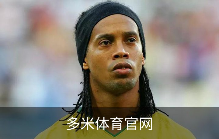 多米体育官网概况